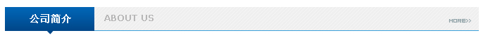 公司簡(jiǎn)介
